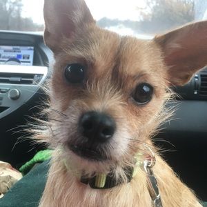 Meet your Posher, Beth